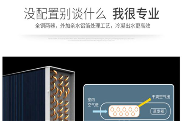 除濕機在養殖場應用：控制養豬場濕度的有效方法